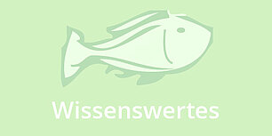 Fisch: Was man wissen sollte: Wissenswertes