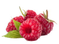 Himbeeren