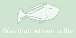 Fisch: Was man wissen sollte