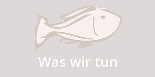 Fisch: Was wir tun