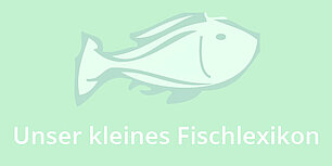 Fisch: Was man wissen sollte: Fischlexikon