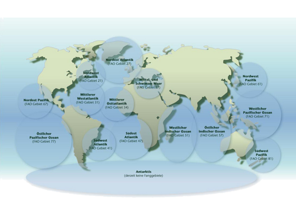 Weltkarte Fanggebiete