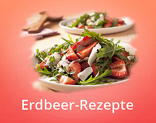 Leckere Rezept-Ideen