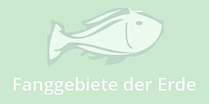 Fisch: Was man wissen sollte: Fanggebiete