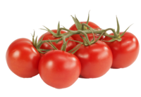 Strauchtomaten