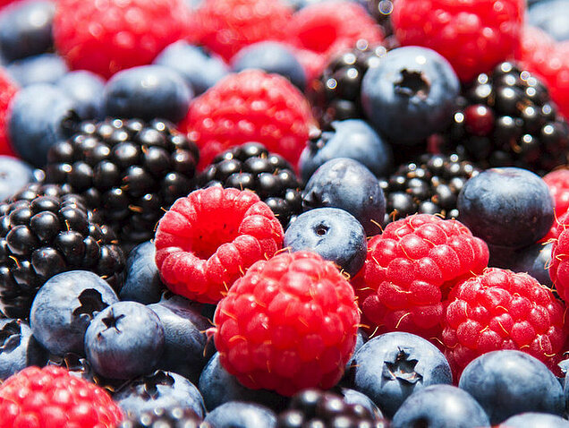 Verschiedene heimische Beerensorten: Brombeeren, Himbeeren, Heidelbeeren.