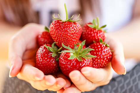 Hand voller frischer Erdbeeren