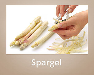 Spargel