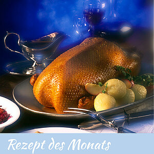 Gaensebraten_RdM_400x400