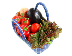 Einkaufstasche mit Gemüse