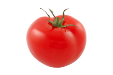 Tomate