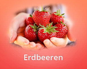 Erdbeeren