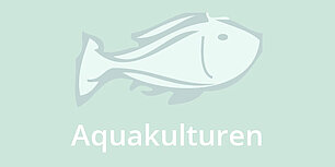 Fisch: Was man wissen sollte: Aquakulturen