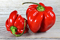 Habanero