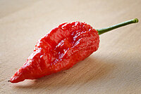 Bhut Jolokia