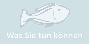 Fisch: Was Sie tun können