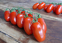 San Marzano