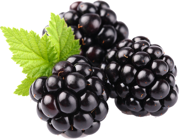 Brombeeren