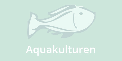 Fisch: Was man wissen sollte: Aquakulturen