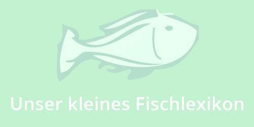 Fisch: Was man wissen sollte: Fischlexikon